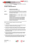 Vista preliminar de documento INFORME-000003-2025-UTI