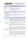 Vista preliminar de documento Sesión Ordinaria N° 4 CDON 19.11.2024