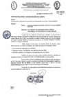 Vista preliminar de documento Documento 239
