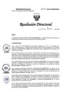 Vista preliminar de documento RD N° 058-2025-DG-INMP/MINSA