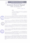 Vista preliminar de documento RDR 035-2025