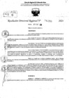 Vista preliminar de documento RDR 11285-2024