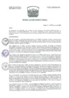 Vista preliminar de documento R.D. Nº015-2025-HNAL-DG