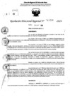 Vista preliminar de documento RDR 11286-2024