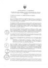 Vista preliminar de documento DR 001-2025