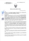 Vista preliminar de documento RD-0606-2025-DSAIA-DIRIS-LE-MINSA