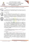 Vista preliminar de documento RAN033-2025