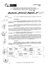 Vista preliminar de documento RDR 11287-2024