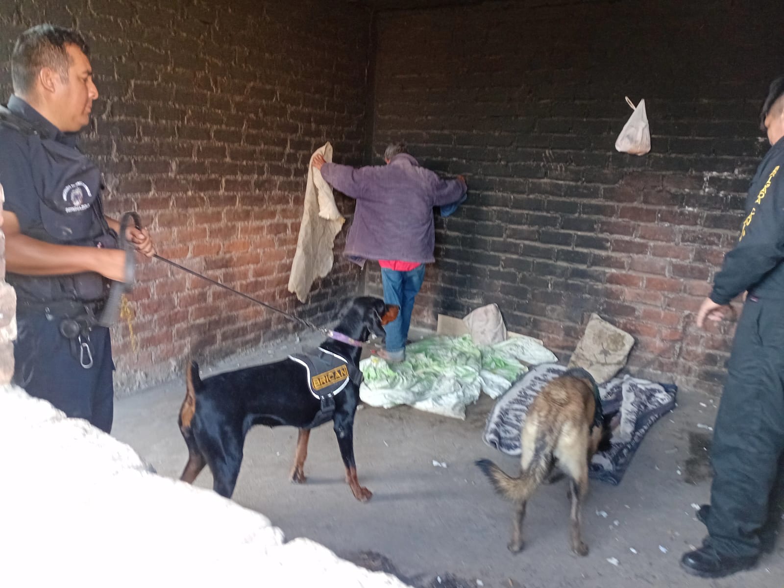 Retiran a consumidores de sustancias tóxicas de diferentes zonas de Trujillo