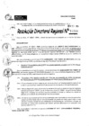 Vista preliminar de documento RDR 11288-2024
