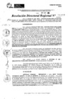 Vista preliminar de documento RDR 11289-2024