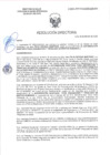 Vista preliminar de documento RD-0619-2025-DSAIA-DIRIS-LE-MINSA