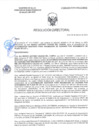 Vista preliminar de documento RD-0625-2025-DSAIA-DIRIS-LE-MINSA