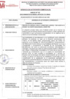 Vista preliminar de documento REQUERIMIENTO N 010-2025-SBPM-GG-GAC-GGF