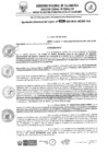 Vista preliminar de documento 0220