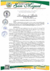 Vista preliminar de documento Resolucion alcaldia 041_2025