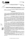 Vista preliminar de documento RDR 11293-2024