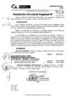Vista preliminar de documento RDR 11299-2024