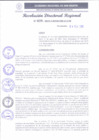 Vista preliminar de documento RDR 039-2025