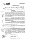 Vista preliminar de documento RDR 11313-2024