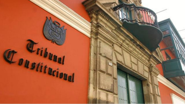 TC convalida ley de protección policial frente a detenciones preliminares o prisiones preventivas, siempre que se actúe en cumplimiento de sus funciones o en uso del arma reglamentaria