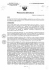 Vista preliminar de documento R.D. 0141-2025-DMID-DIRIS- LE-MINSA