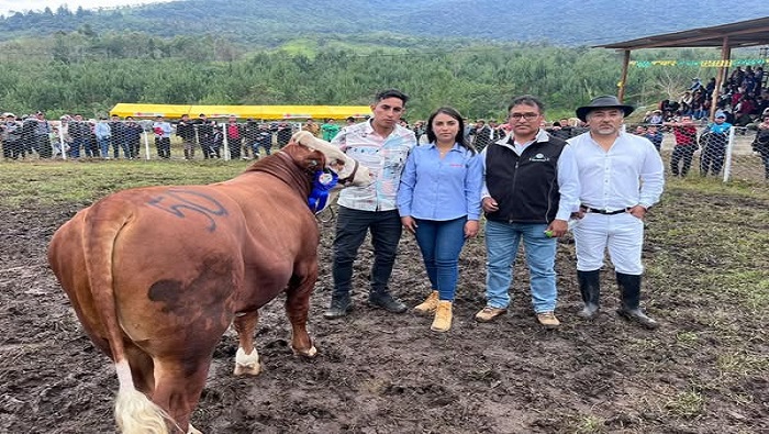 CLAUSURA FYAMBRAS 1