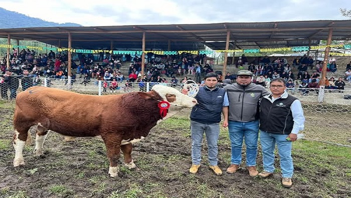 CLAUSURA FYAMBRAS 2