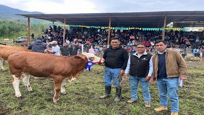 CLAUSURA FYAMBRAS 5