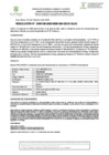 Vista preliminar de documento RESOLUCIÓN N° D000196-2025-MSB-GM-GDUC-SLAC
