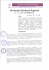 Vista preliminar de documento RDR 040-2025