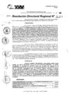 Vista preliminar de documento RDR 11314-2024