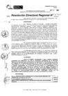 Vista preliminar de documento RDR 11316-2024