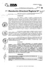 Vista preliminar de documento RDR 11317-2024