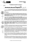 Vista preliminar de documento RDR 11318-2024