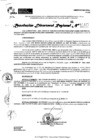 Vista preliminar de documento RDR 11325-2024