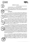 Vista preliminar de documento ORDENANZA N.º 540-2025
