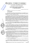 Vista preliminar de documento Resolución Consejo Universitario N° 0489-2025-UNHEVAL