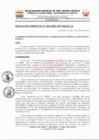 Vista preliminar de documento 053-2024-GSP-MDJCC