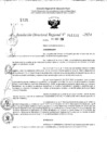 Vista preliminar de documento RDR 11331-2024