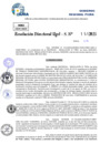 Vista preliminar de documento Resolucion Directoral N° 000247-2025