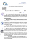 Vista preliminar de documento Resolucion Directoral N° 000249-2025