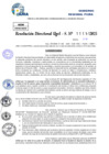 Vista preliminar de documento Resolucion Directoral N° 000250-2025