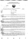 Vista preliminar de documento RDR 11333-2024