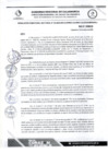 Vista preliminar de documento RDS N 83 AJ