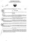 Vista preliminar de documento RDR 11337-2024