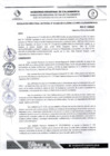 Vista preliminar de documento RDS N 84 AJ