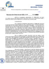 Vista preliminar de documento Resolucion Directoral N° 000252-2025