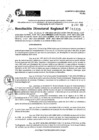 Vista preliminar de documento RDR 11339-2024