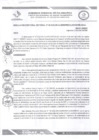 Vista preliminar de documento RDS N 88 AJ
